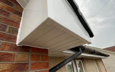 Why Choose a Roofer, Not a Window Company, for Your Conservatory Roof