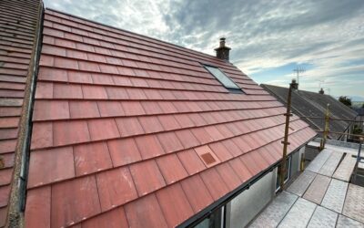 Moss on Your Roof: Is It a Problem, and How to Remove It Safely